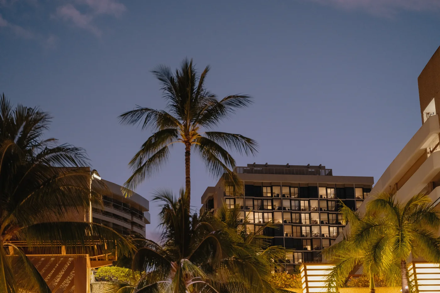 Palm trees silhouetted against lit hotel balconies in Waikiki at dusk